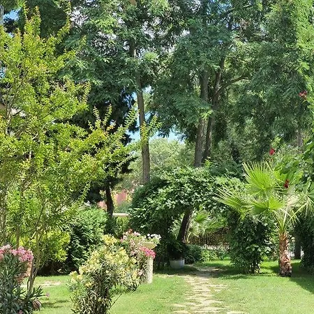 里瓦酒店 - 全包