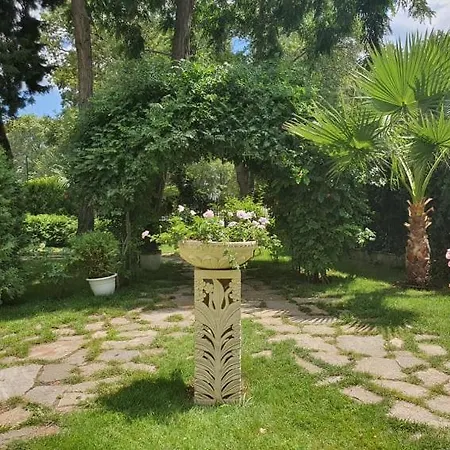 里瓦酒店 - 全包 3* 阳光海滩