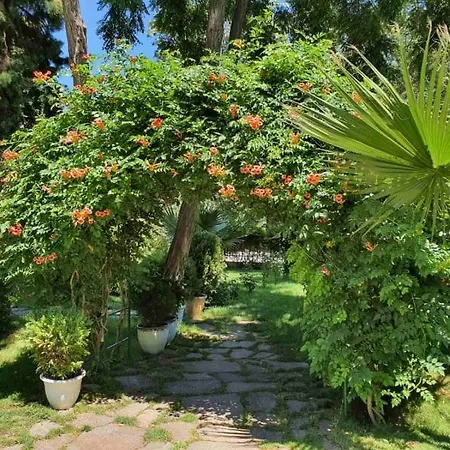 酒店 里瓦酒店 - 全包 3*