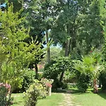 Riva -