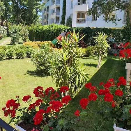 Riva Hotel Sluneční pobřeží
