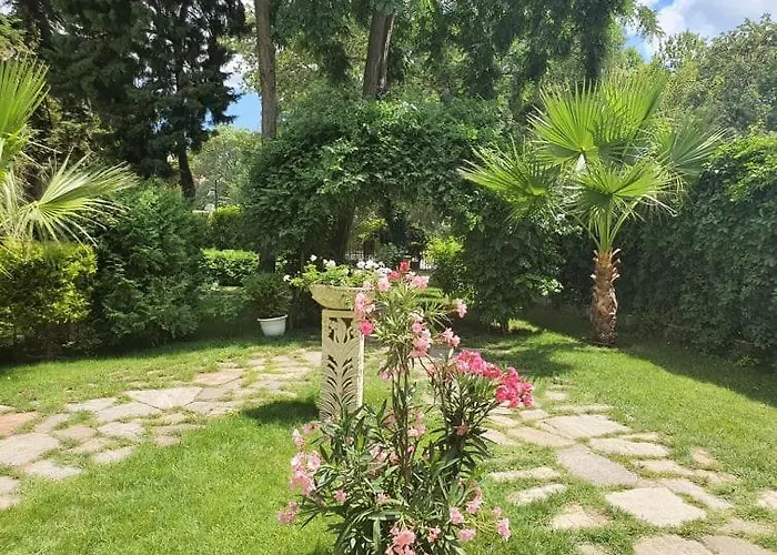 Riva 3*