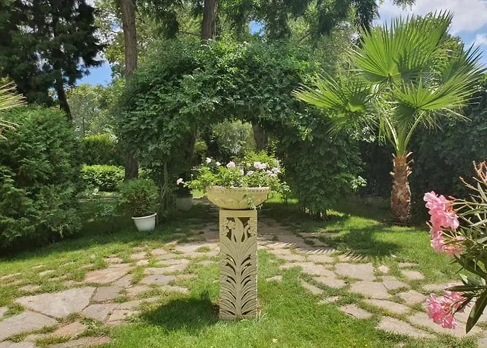 Riva - 3* Sunny Beach