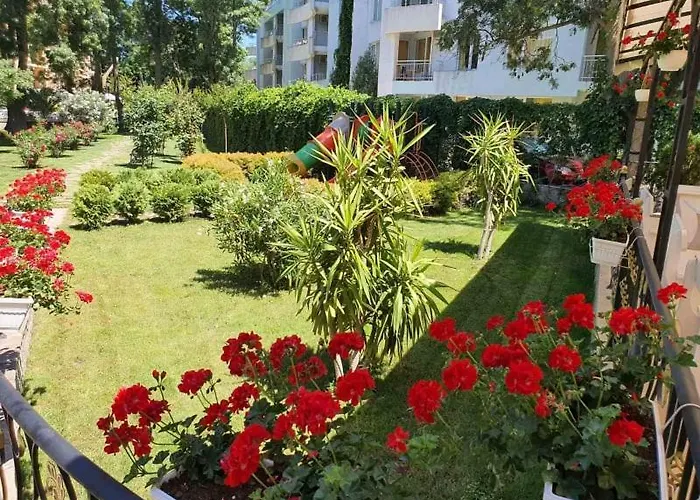 Riva Отель Солнечный берег