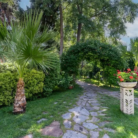 Riva Slantchev Briag